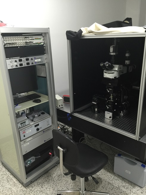 다광자 레이저 주사 현미경 시스템