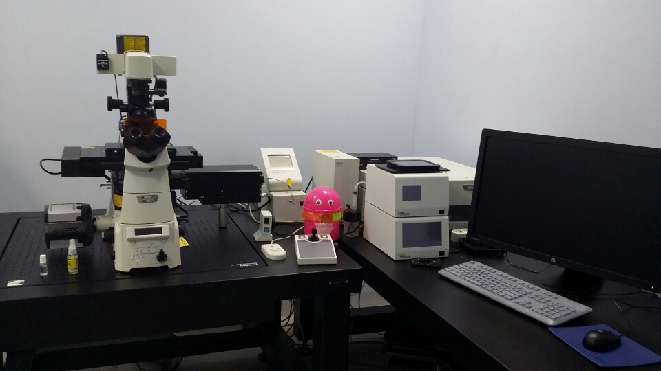 전반사 레이저 형광 현미경 시스템