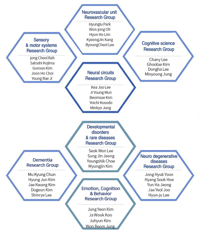 Sensory & motor systems Research Group,Neurovascular unit Research Group,Cognitive science Research Group,Aging neuroscience Research Group,Neural circuits Research Group,Developmental disorders & rare diseases Research Group,Emotion, Cognition & Behavior Research Group,Dementia Research Group,Neuro degenerative diseases Research Group